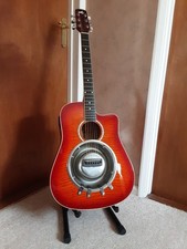 Chitarra risuonatore Dog Bowl