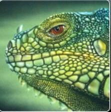 Stencil A4 aerografo "Iguana