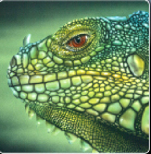 Stencil aerografo iguana - stencil, a4