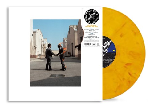 Pink floyd wish you - floyd, here