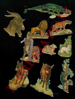 Animali vari - animali, vari.