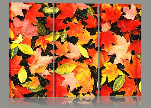 Colore quadri moderni - colore,