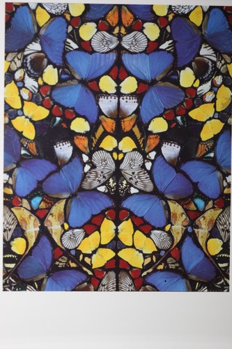 Damien hirst doorways to - :, "doorways