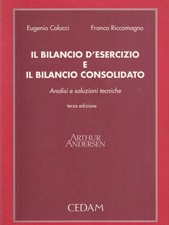 Il bilancio d'esercizio e il