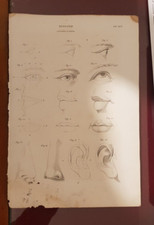 stampa d'epoca da rivista