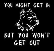 YOU MAY GET IN *B160* American