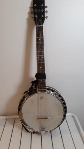 Banjo remo weather king - remo,