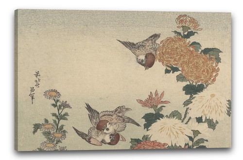 Tela cornice katsushika - tela/cornice,