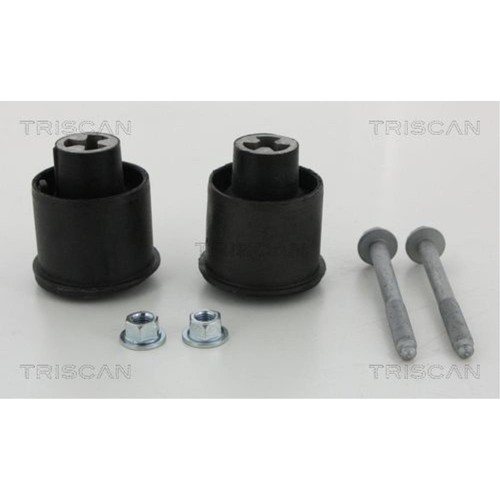 Triscan cuscinetto corpo asse - cuscinetto,