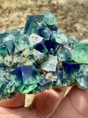 Esemplare fluorite rogerley - fluorite,