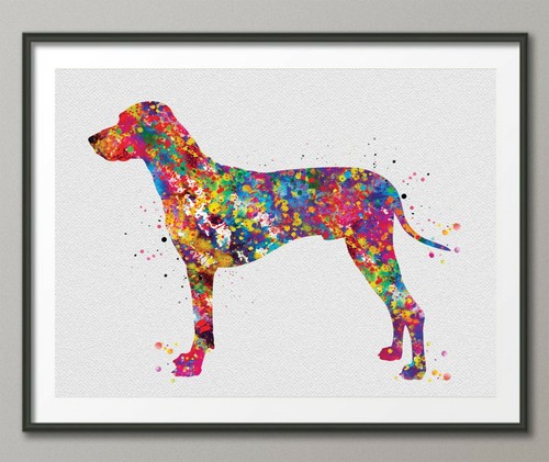 Poster stampa acquerello - , arte