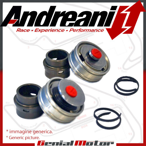 Andreani pistoni bpf - andreani,