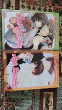 Manga Junjou Romantica - Goen