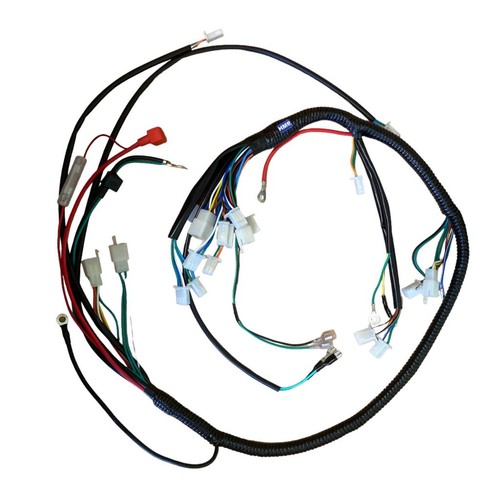 Cablaggio per motore gy6 - cablaggio, 250
