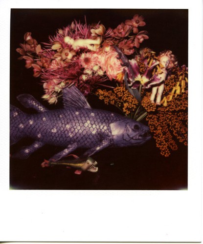 Nobuyoshi araki senza titolo - araki,