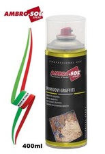 RIMUOVI VERNICE E GRAFFITI