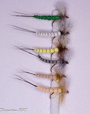 Fliegentom Assortimento di 6 extended body efemera (mosca secca)