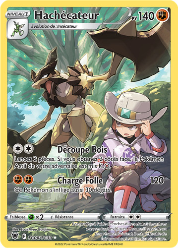 Carte pokémon hachécateur - carte,