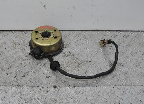 51437 statore benelli - 51437, pepe