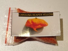 Carolina Reaper Giallo yellow