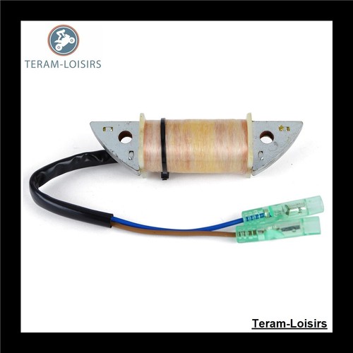 Stator allumage pour yamaha - stator,