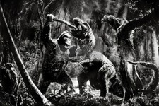 KING KONG AND COMBAT T-REX FAY