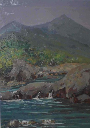 Angiolo volpe fiume lima - volpe,,