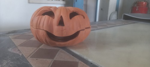Zucca halloween - zucca,