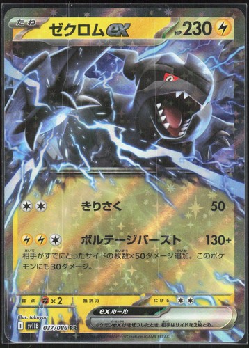 Pokemon tcg zekrom - pokemon,