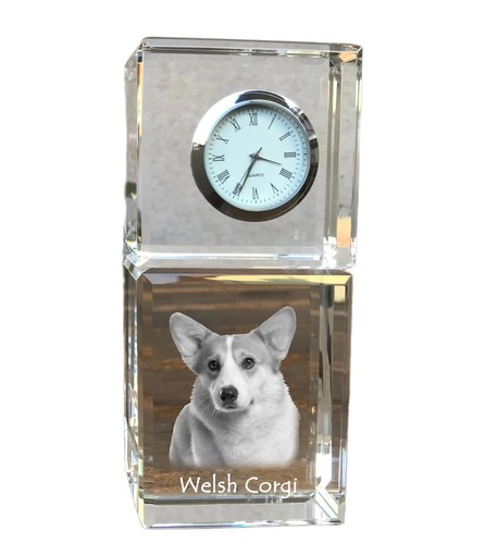 Pembroke welsh corgi - corgi,
