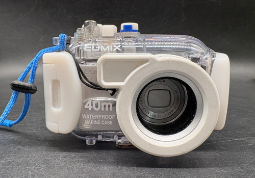 Panasonic lumix dmc fx01 - panasonic,