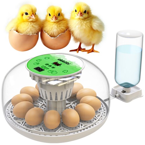 Incubadora huevos con - de,