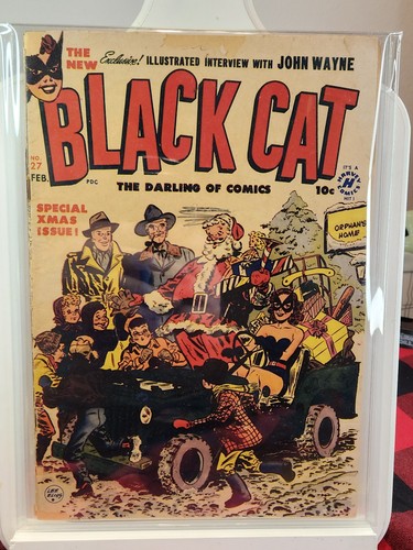 Copertina natalizia gatto nero - gatto,