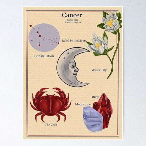 Nuovo poster stile vintage - poster,