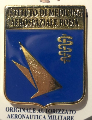 Distintivo aeronautica - distintivo,