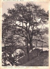 Savona Villa Ravezza Quercia colossale F. Grande  spedita