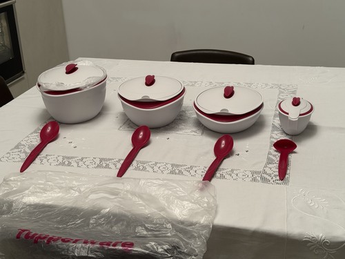 Tupperware termico doppio