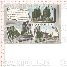 D8436 LIVORNO 1950 BOLGHERI POESIA CARDUCCI VEDUTE 