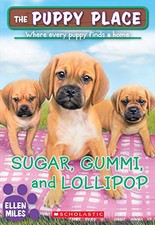 Sugar, Gummi and Lollipop (the