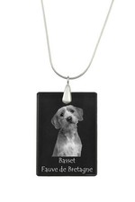 Basset Fauve De Bretagne -
