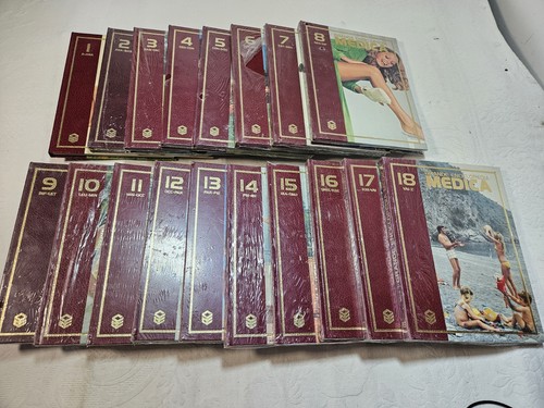 Collezione completa grande - collezione,