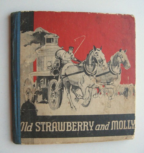Old strawberry and - strawberry, ~