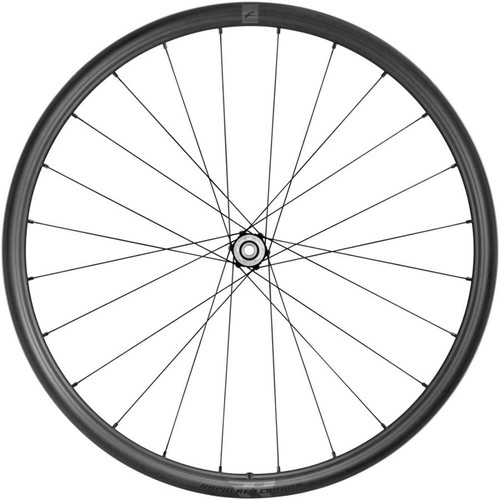 Ruota posteriore fulcrum - posteriore, rapid