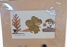 Quadro arte fogliame essiccato
