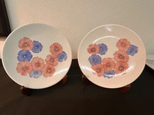Coppia piatti ceramica - piatti,
