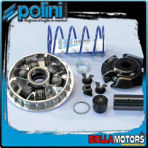 241 686 variatore speed - 241.686,