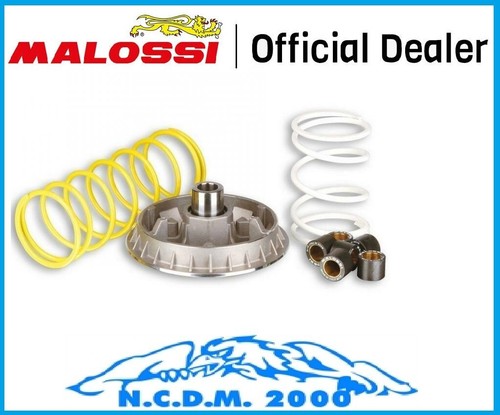 Variatore malossi multivar - malossi,