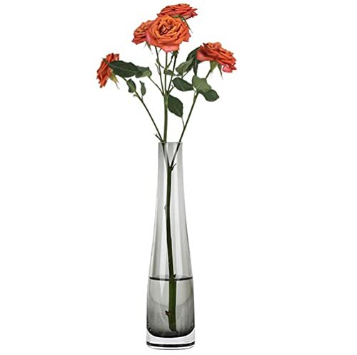 Bamboopack vaso vetro - in,