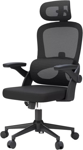 Sedia ufficio ergonomica - sedia,
