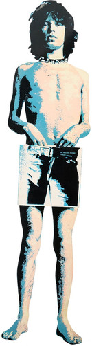 Mick jagger rolling stones - mick,